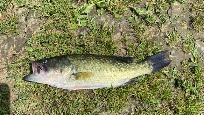 Bridgeport Dam Park - Mt Pleasant, PA
