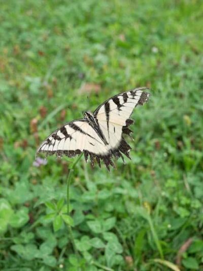 Jacobs Creek Park, Back Entrance - Mt Pleasant, PA