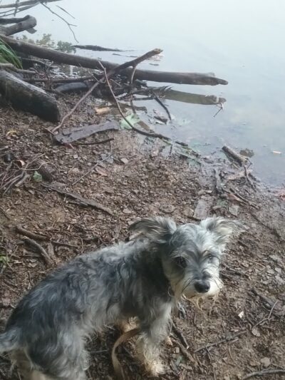 Jacobs Creek Park, Back Entrance - Mt Pleasant, PA