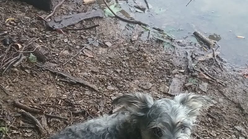 Jacobs Creek Park, Back Entrance - Mt Pleasant, PA
