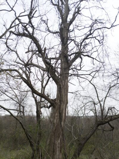 Jacobs Creek Park, Back Entrance - Mt Pleasant, PA