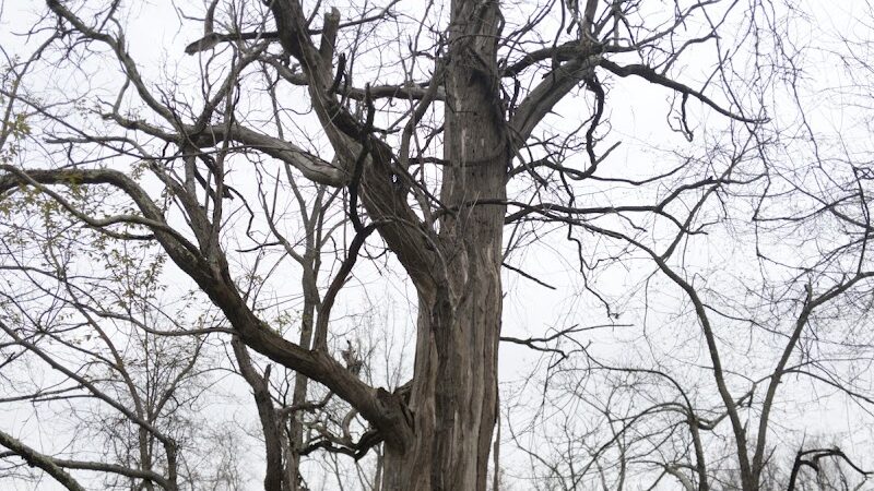 Jacobs Creek Park, Back Entrance - Mt Pleasant, PA