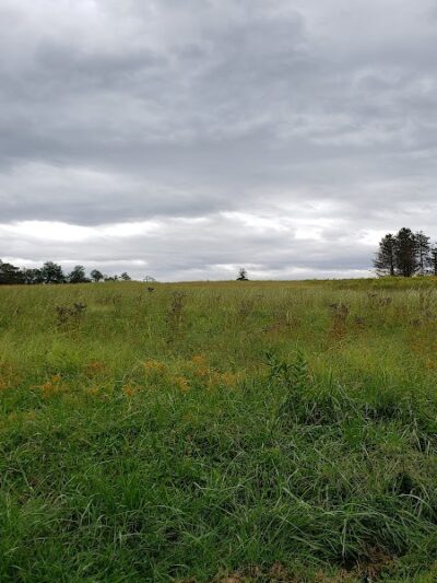 Mammoth Park - Mt Pleasant, PA