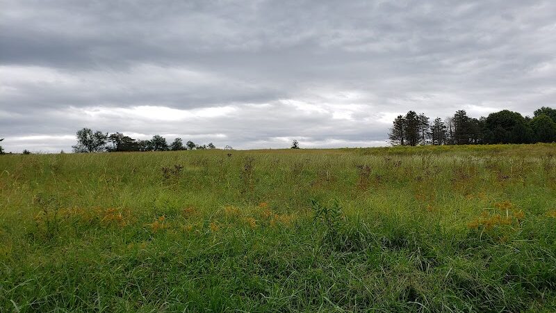 Mammoth Park - Mt Pleasant, PA
