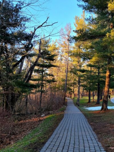 Mammoth Park - Mt Pleasant, PA