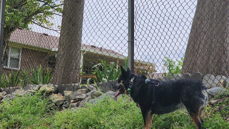 Mount Pleasant Dog Park - Mt Pleasant, TN