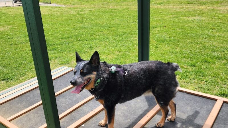 Mount Pleasant Dog Park - Mt Pleasant, TN