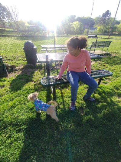 Mount Pleasant Dog Park - Mt Pleasant, TN