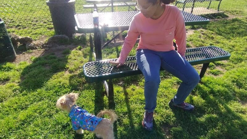 Mount Pleasant Dog Park - Mt Pleasant, TN