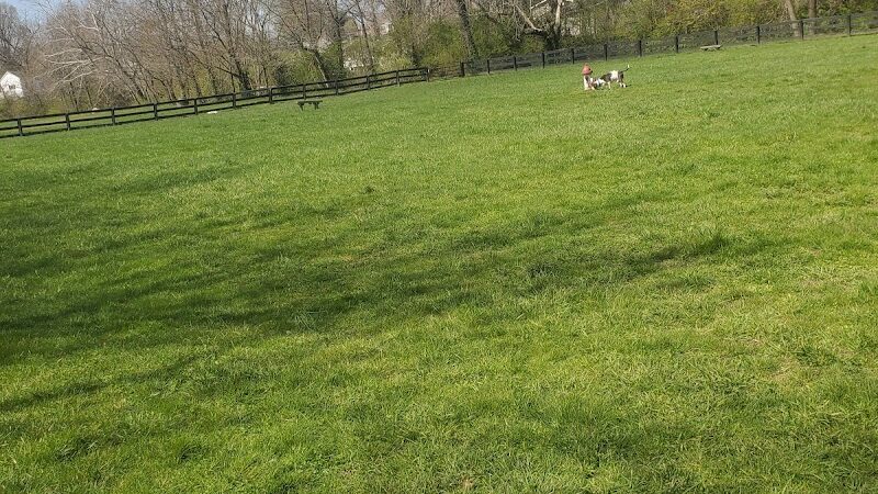 Dog park - Mt Sterling, KY