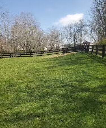Dog park - Mt Sterling, KY