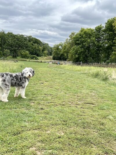Mukwonago Dog Exercise Park - Mukwonago, WI