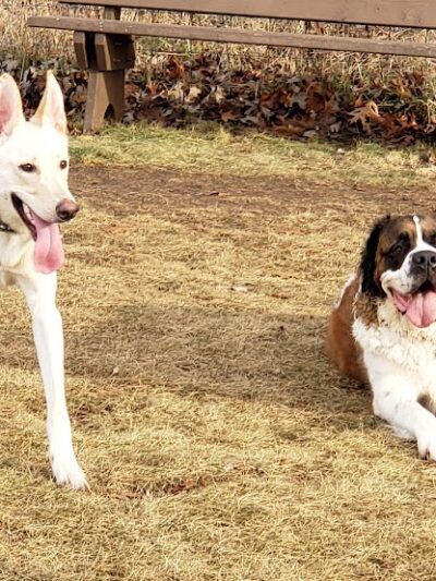 Mukwonago Dog Exercise Park - Mukwonago, WI