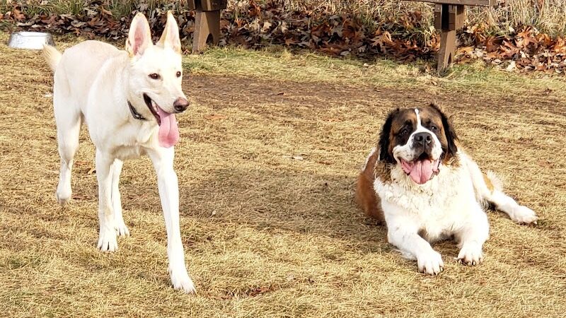 Mukwonago Dog Exercise Park - Mukwonago, WI