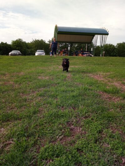 Mulberry City Park - Mulberry, AR