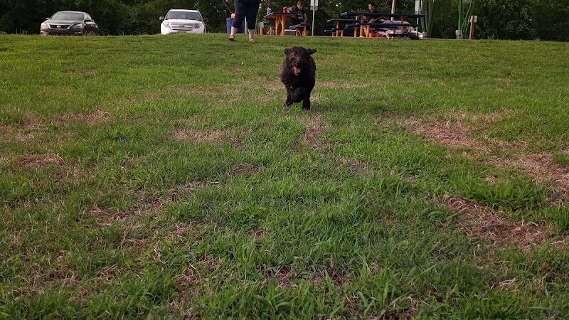 Mulberry City Park - Mulberry, AR