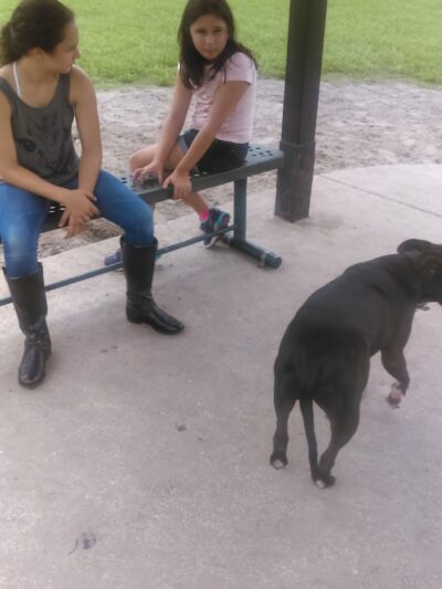 Diogi Dog Park - Mulberry, FL
