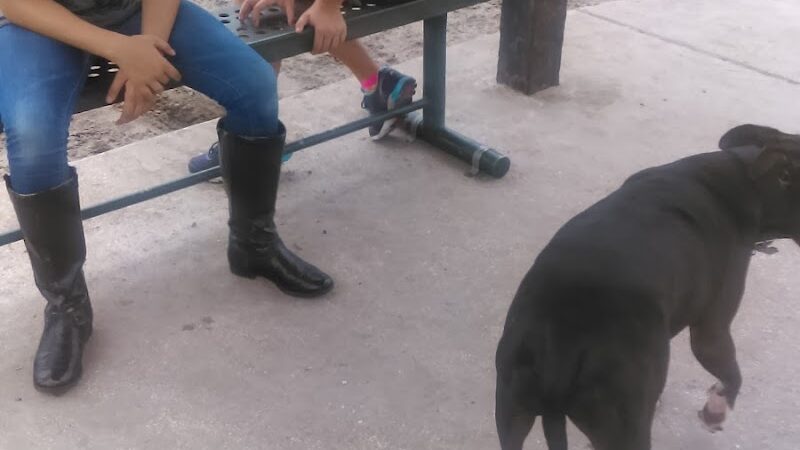 Diogi Dog Park - Mulberry, FL