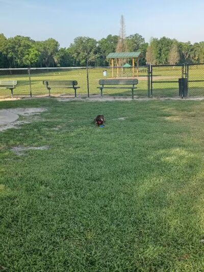 Diogi Dog Park - Mulberry, FL