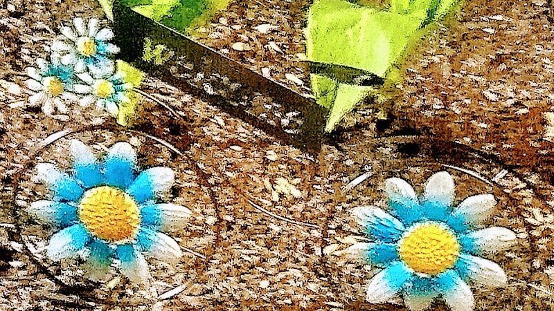 Emily’s Bark Park - Munford, TN