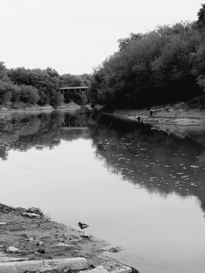Riverside Dog Park - Murphysboro, IL