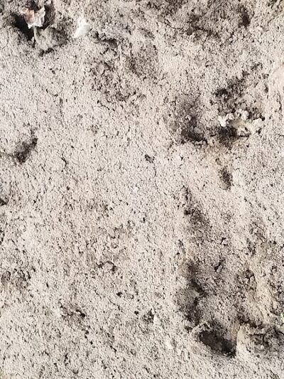 Riverside Dog Park - Murphysboro, IL