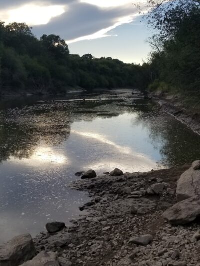 Riverside Dog Park - Murphysboro, IL
