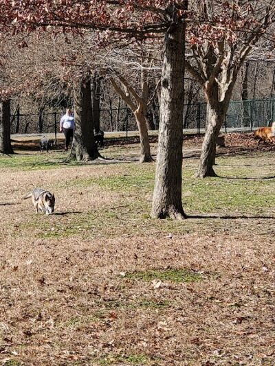 Riverside Dog Park - Murphysboro, IL