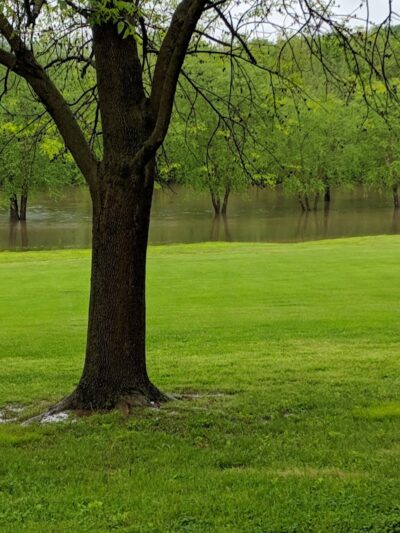 Riverside Dog Park - Murphysboro, IL