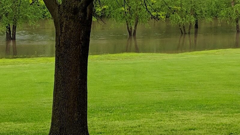 Riverside Dog Park - Murphysboro, IL