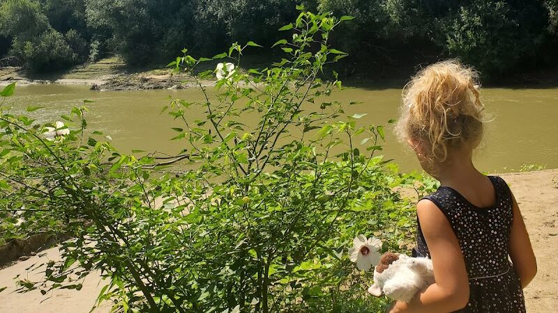 Riverside Dog Park - Murphysboro, IL