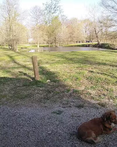 Riverside Dog Park - Murphysboro, IL