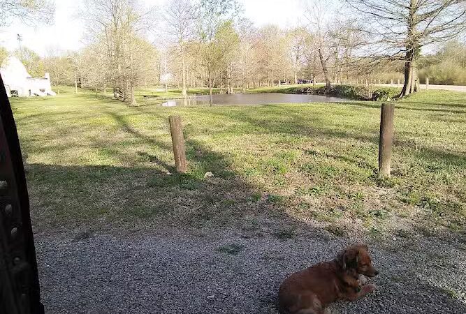 Riverside Dog Park - Murphysboro, IL