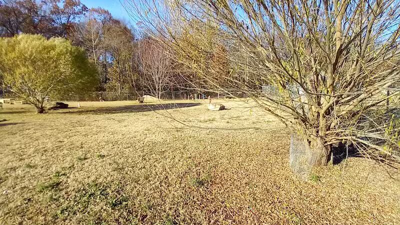 Murray-Calloway County Dog Park - Murray, KY