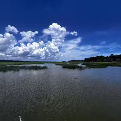Huntington Beach State Park - Murrells Inlet, SC