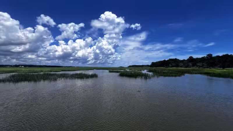 Huntington Beach State Park - Murrells Inlet, SC