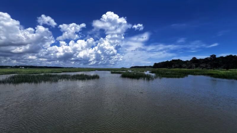 Huntington Beach State Park - Murrells Inlet, SC