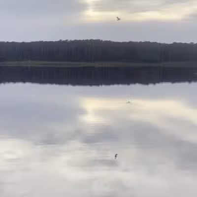 Huntington Beach State Park - Murrells Inlet, SC