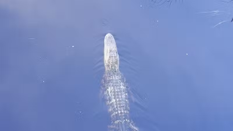 Huntington Beach State Park - Murrells Inlet, SC