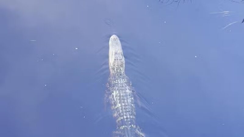Huntington Beach State Park - Murrells Inlet, SC