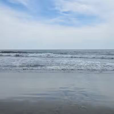 Huntington Beach State Park - Murrells Inlet, SC