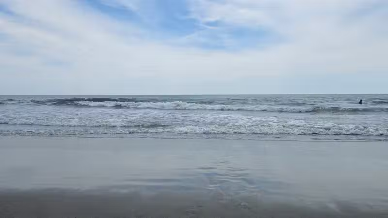 Huntington Beach State Park - Murrells Inlet, SC