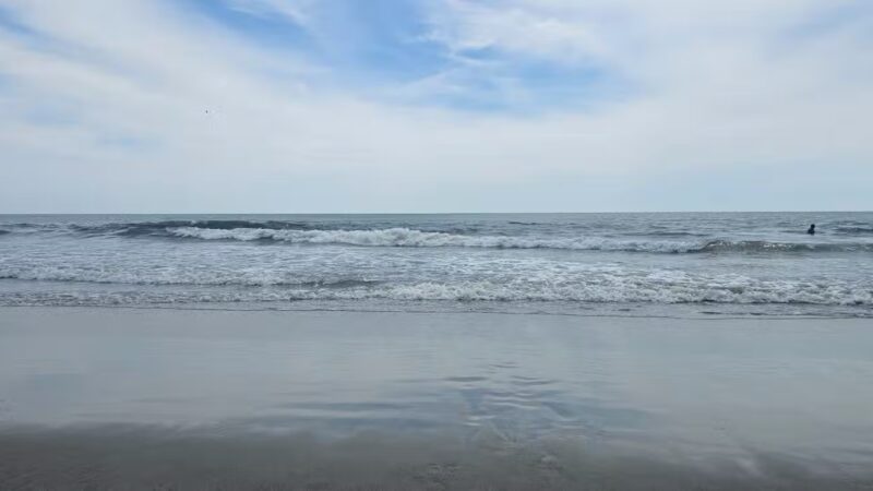 Huntington Beach State Park - Murrells Inlet, SC