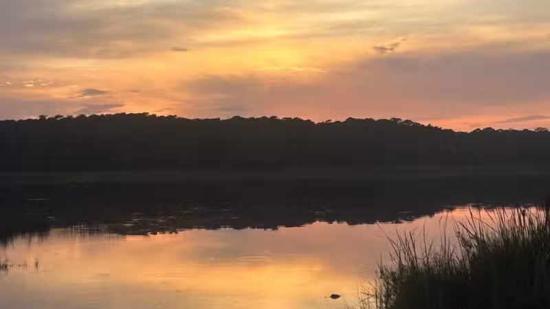 Huntington Beach State Park - Murrells Inlet, SC