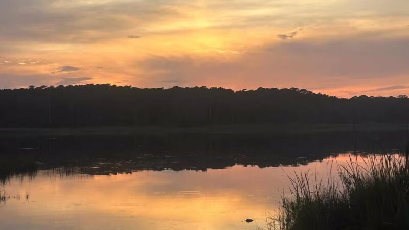 Huntington Beach State Park - Murrells Inlet, SC