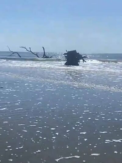 Huntington State park jetty - Murrells Inlet, SC