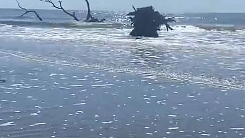 Huntington State park jetty - Murrells Inlet, SC