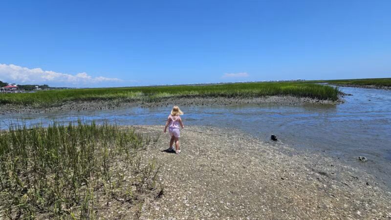 Morse Park Landing - Murrells Inlet, SC
