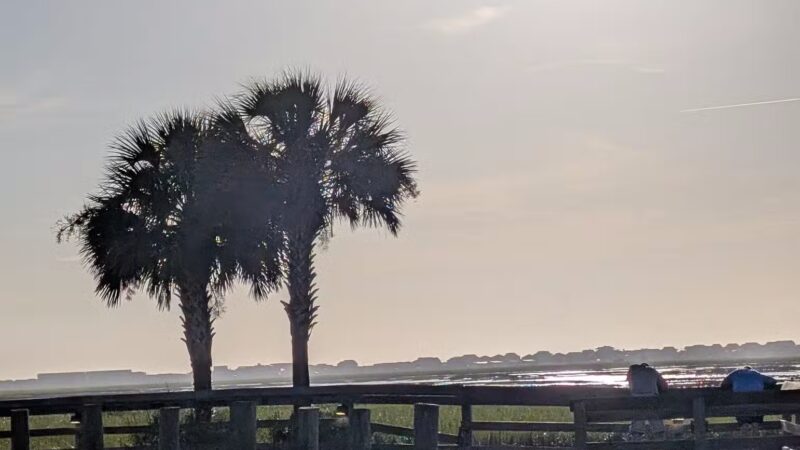 Morse Park Landing - Murrells Inlet, SC