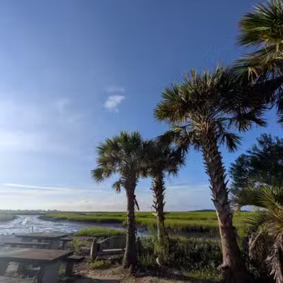 Morse Park Landing - Murrells Inlet, SC